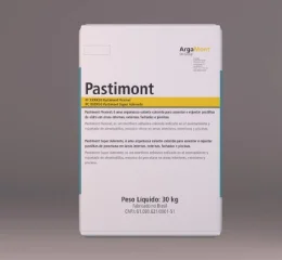 Argamassa Flexível Pastimont Super Aderente Grafite STO Brasil